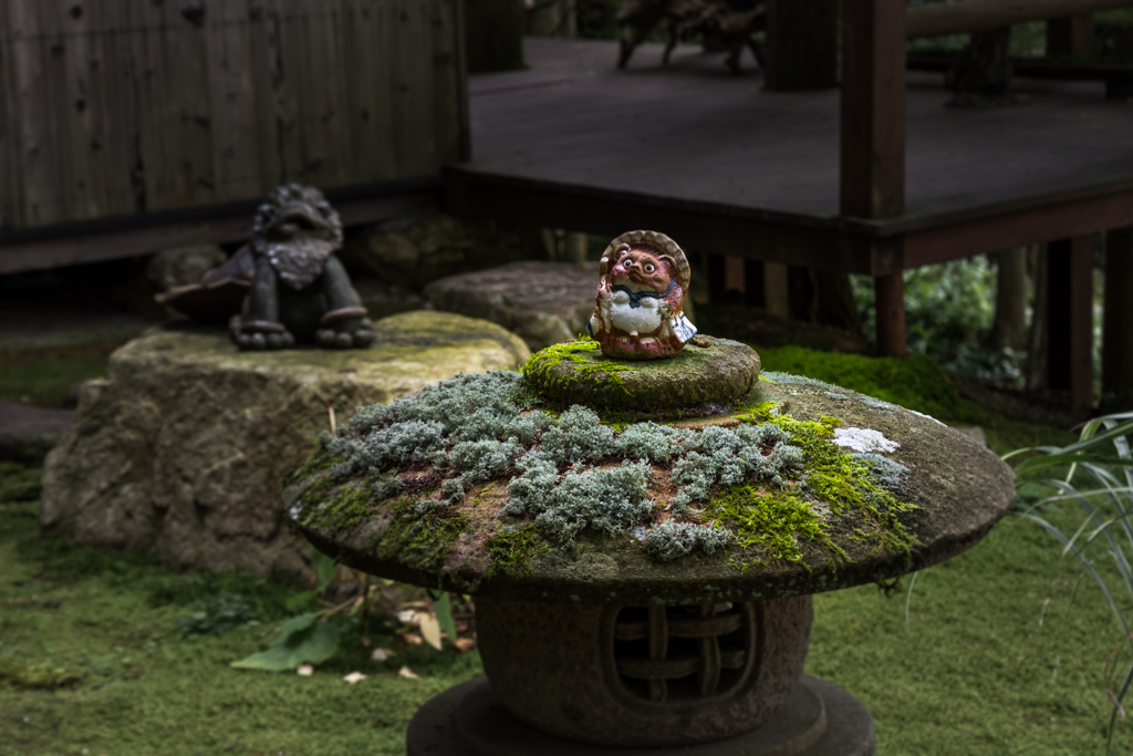 写真: IMG_3284