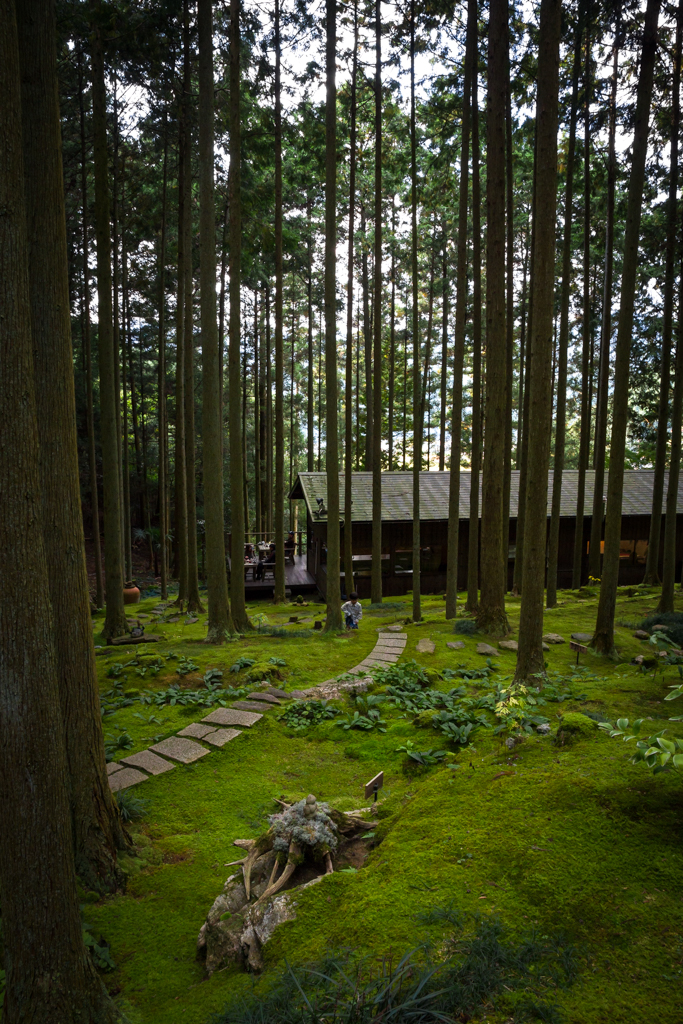 写真: IMG_3313