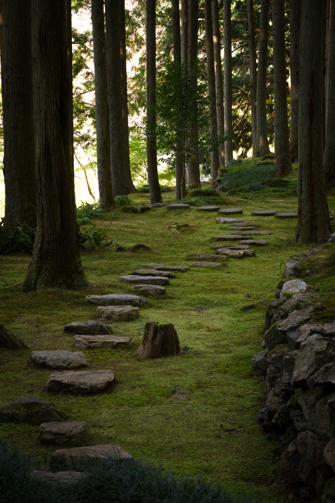 写真: IMG_3331