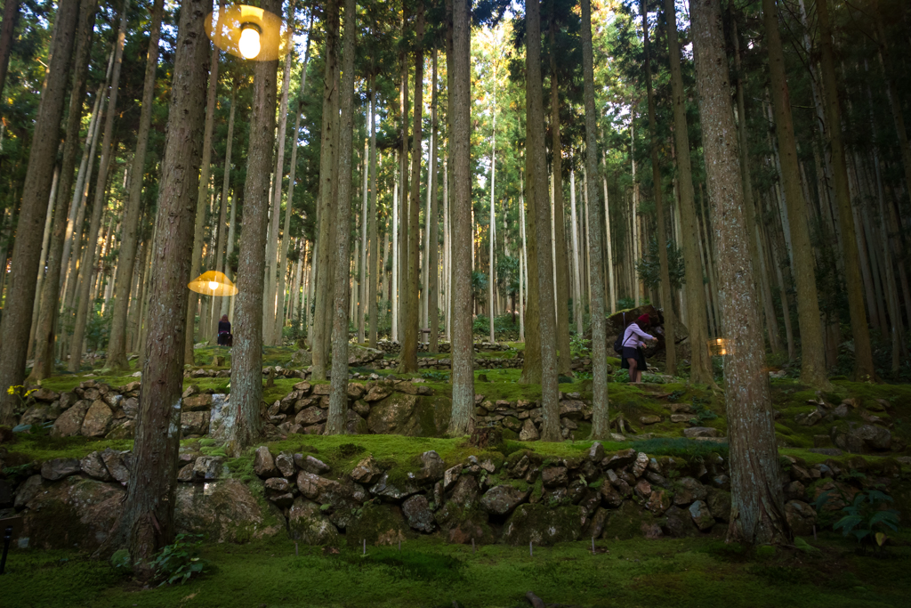 写真: IMG_3413