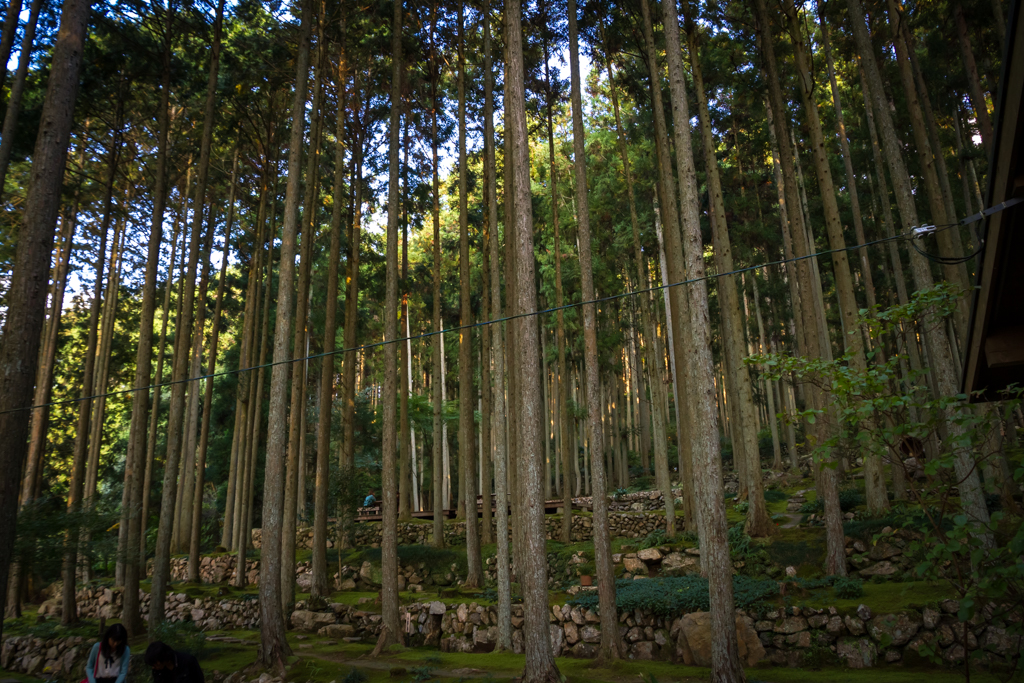 写真: IMG_3427