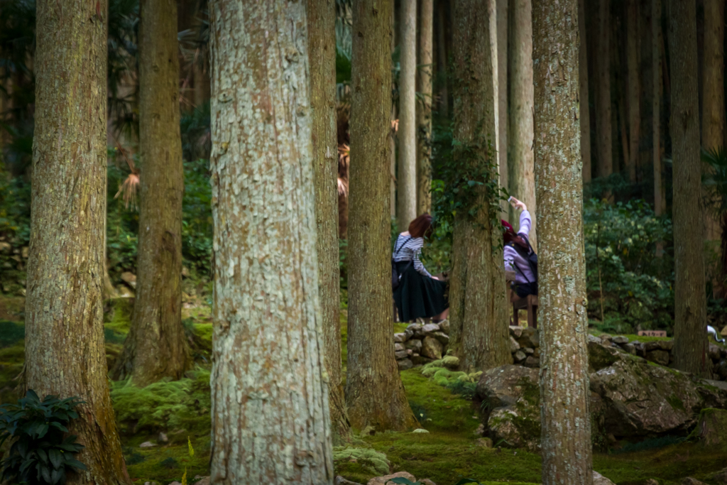 写真: IMG_3432
