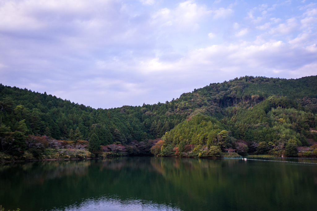 写真: IMG_3516
