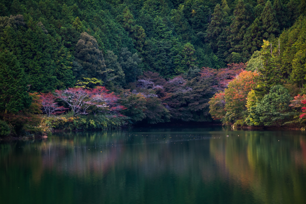 写真: IMG_3518