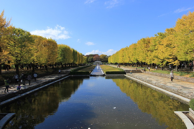昭和記念公園