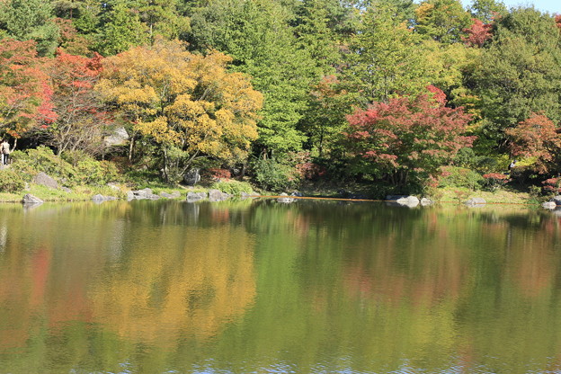 日本庭園の紅葉５