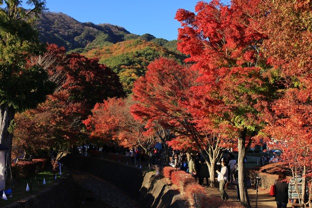 2014富士河口湖紅葉祭り６