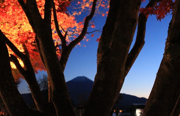 2014富士河口湖紅葉祭り２０