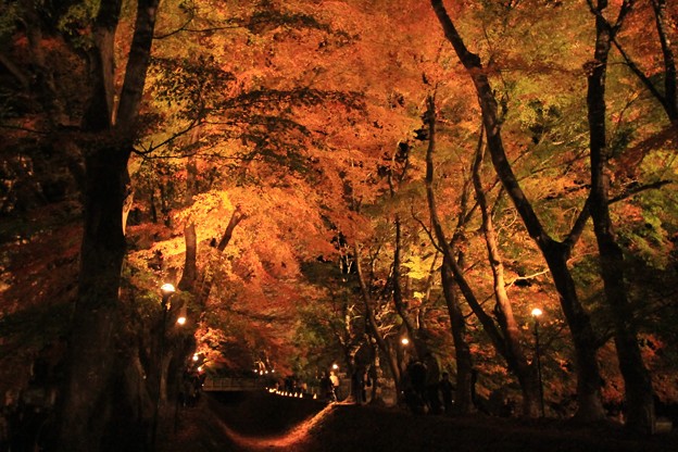 2014富士河口湖紅葉祭り２３