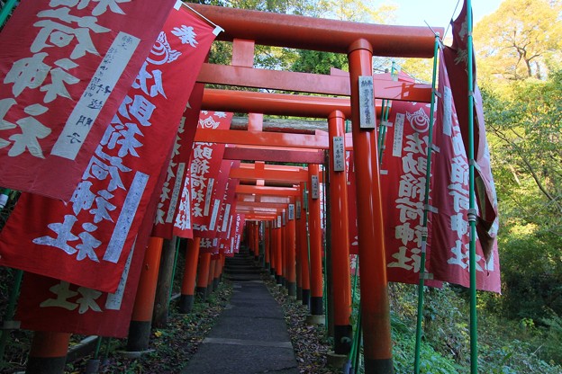 赤鳥居をくぐりぬける