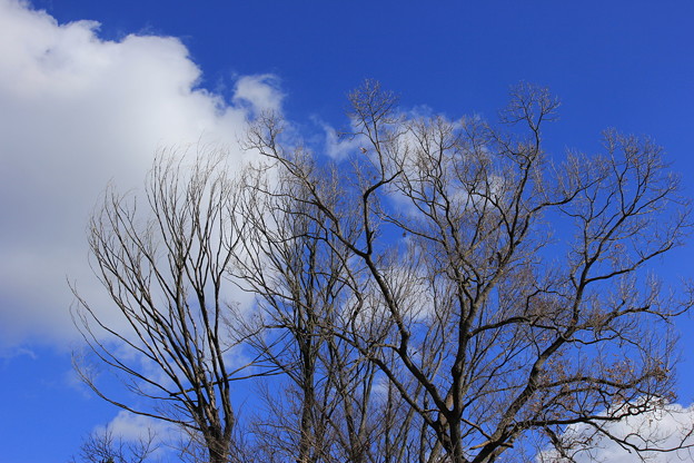 05IMG_4337