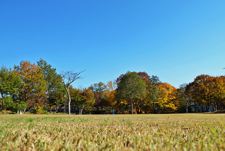 のどかな公園