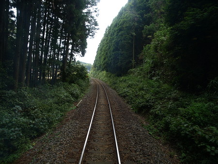 キハ40後方車窓29