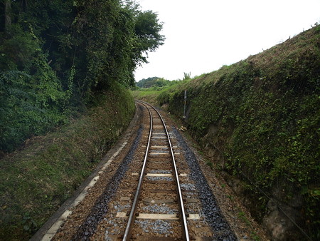 烏山線の車窓(大金→小塙)8