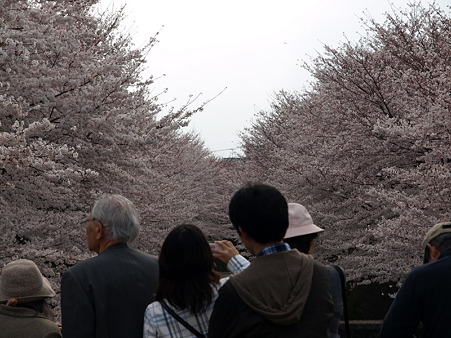 恩田川29