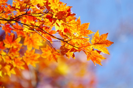 20141028_07