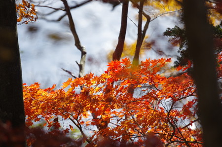 20141028_09