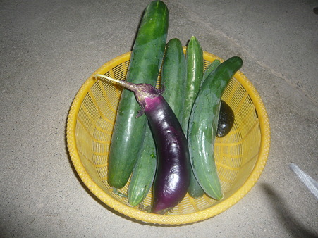 (1)k 002