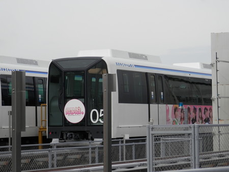 知多娘号