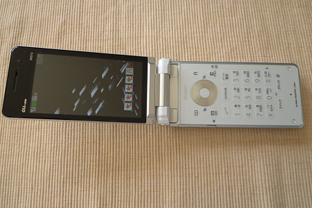 SH010