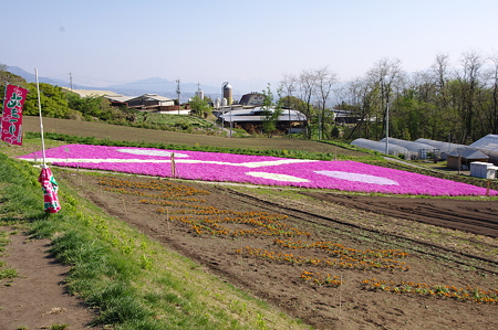 IMGP8964