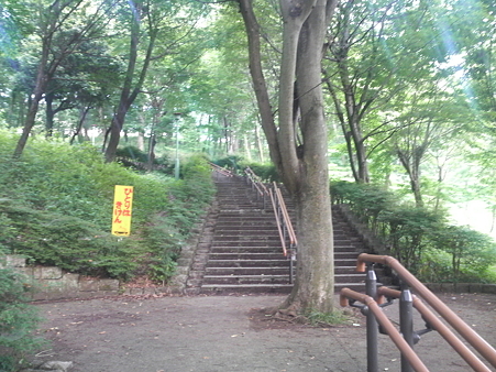 P1000478