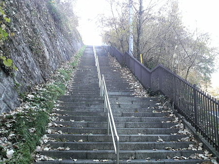 P1000983