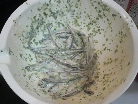 P1001204