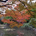 小石川後楽園