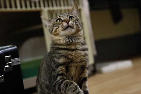 とわ「今、遊んでるところなんだ」