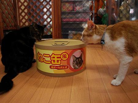 ゴロ「ぼく、食べきれるかなぁ?」