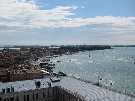 IMG_0239