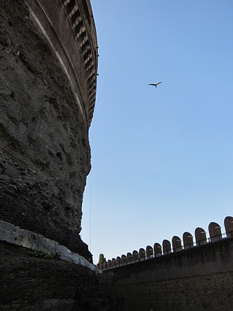 IMG_0960