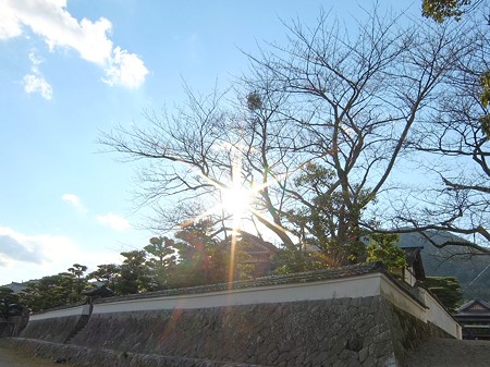 五十鈴川3