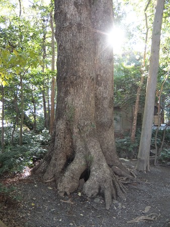 伊雑宮11