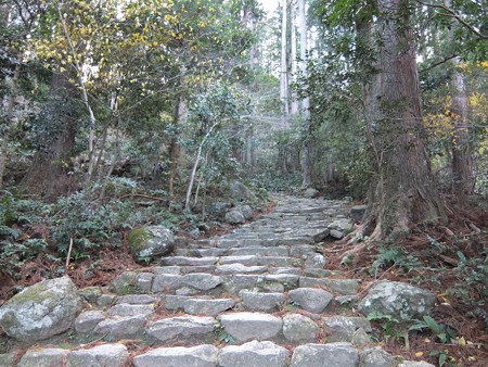 鎌倉積み石段1