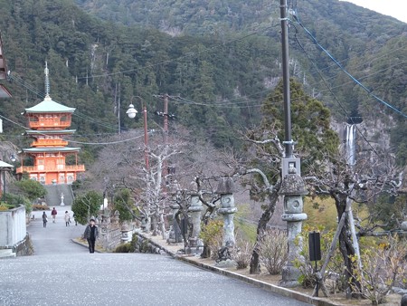 熊野那智大社13 三重塔