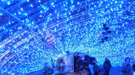 長居植物園ガーデンイルミネーション14