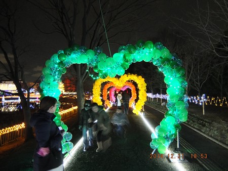 長居植物園ガーデンイルミネーション21