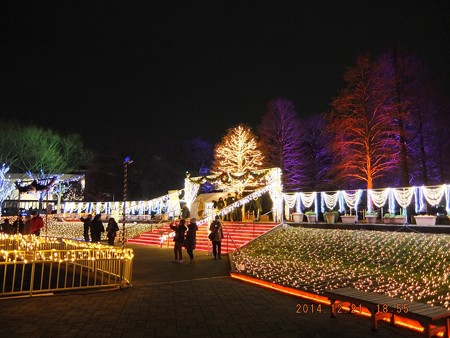 長居植物園ガーデンイルミネーション23