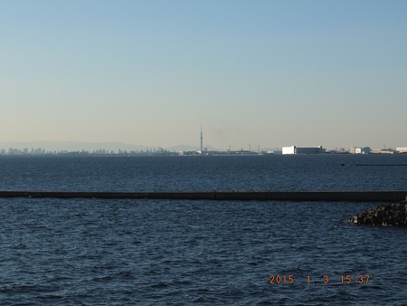 幕張の浜~20150103-02 スカイツリー