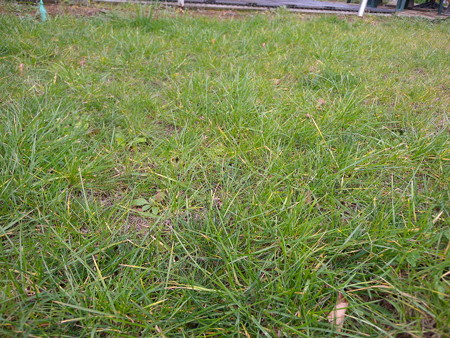 DSCN0348
