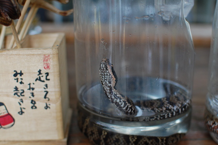 マムシ