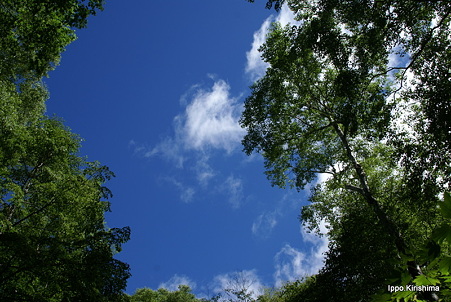 DSC05315