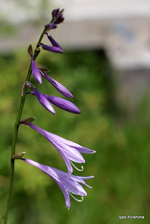 DSC05358