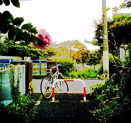 2010.08.15　和泉川　百日紅と愛車　ノイズモードSQ30m