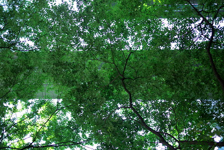 2010.08.29　有楽町　東京国際ホーラム　渡り廊下