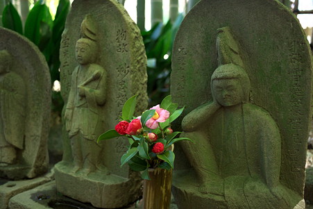 2011.03.04　鎌倉　報国寺　竹林の石仏に椿