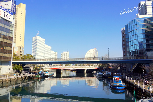 関内~野毛~吉田町さんぽ-140