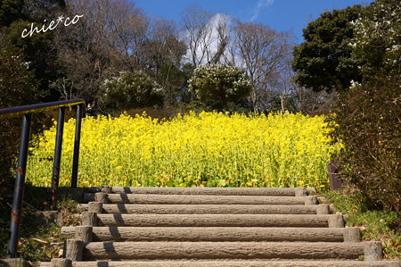 金沢自然公園-275